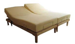 Twin Adjustable Beds